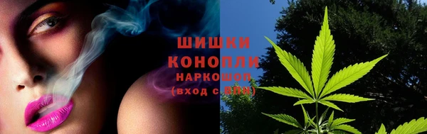гидра Нязепетровск
