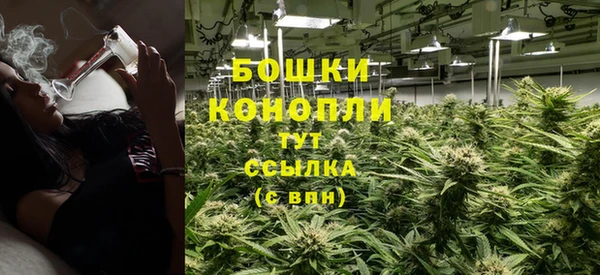 амф Новодвинск