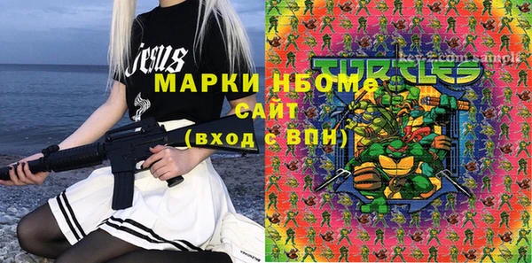 индика Анива