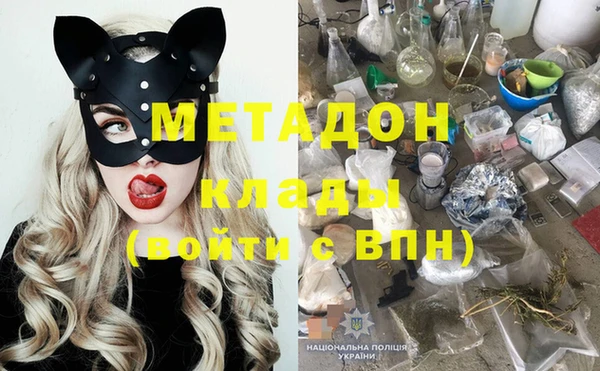 индика Анива