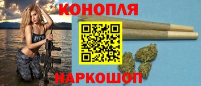 крисы Донской