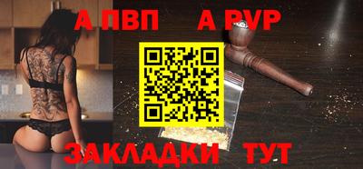 ешки Кингисепп