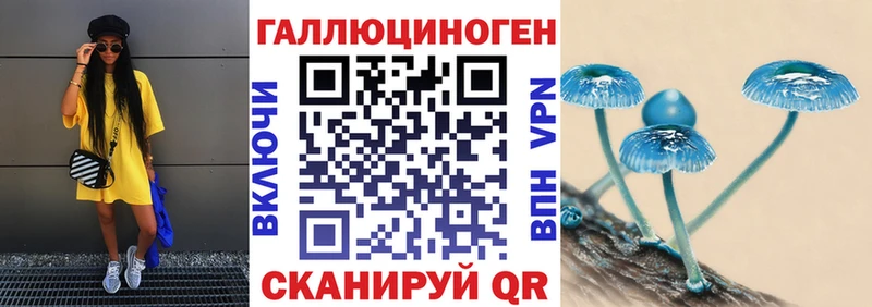 Галлюциногенные грибы Cubensis  нарко площадка Telegram  Курчатов  гидра маркетплейс 
