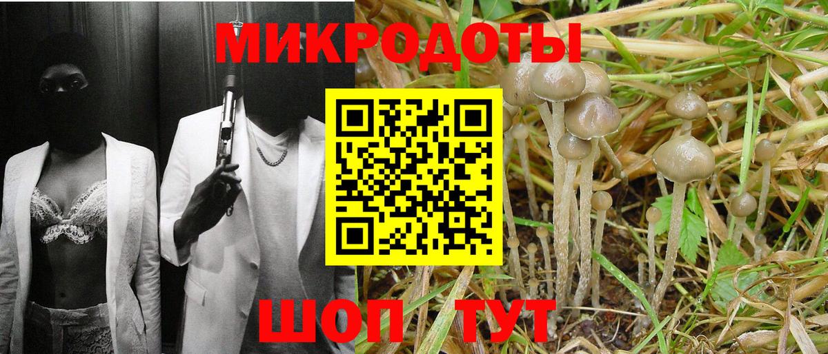 Курчатов  Галлюциногенные грибы мухоморы  Вход с VPN 