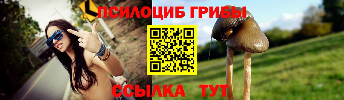 Галлюциногенные грибы ЛСД  Псилоцибиновые грибы Magic Shrooms  Курчатов 