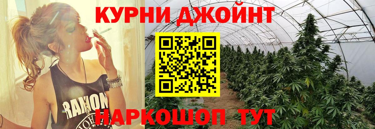 Бошки Шишки THC 21%  Курчатов  Шишки марихуана White Widow 